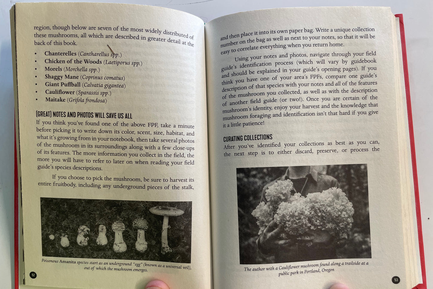 The Mycocultural Revolution - Transforming our world with Mushrooms, Lichen, and other Fungi