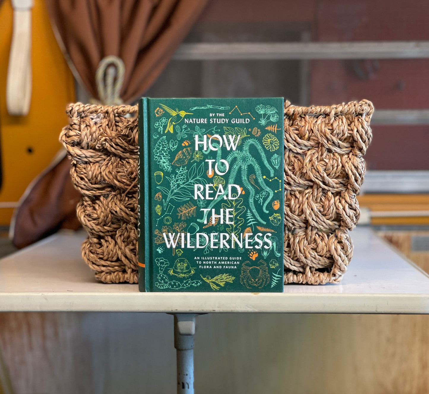 How to Read the Wilderness An Illustrated Guide to the Natural Wonders of North America