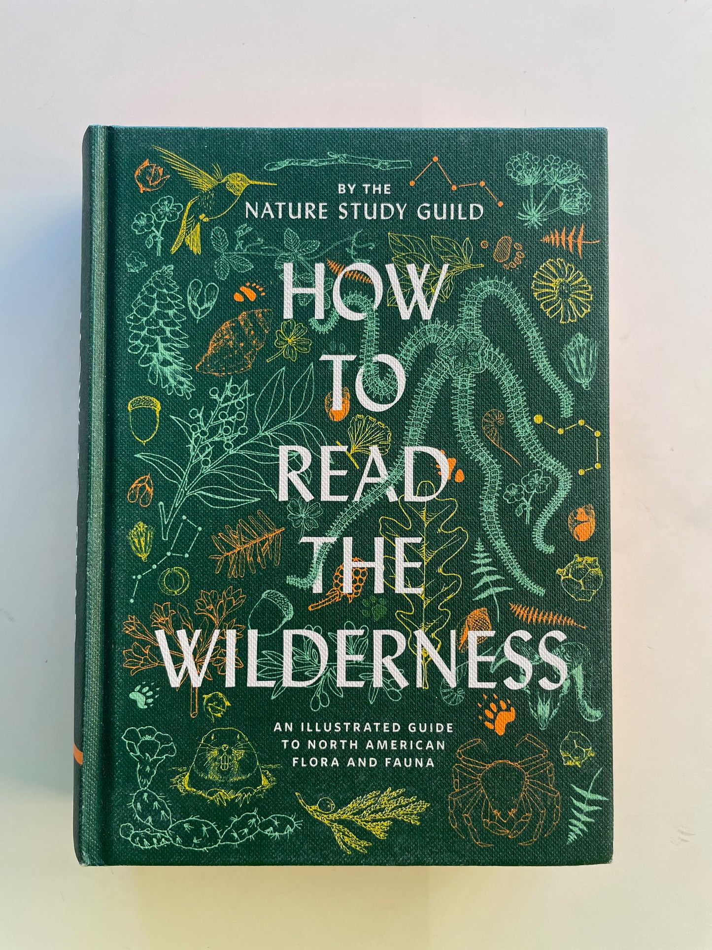 How to Read the Wilderness An Illustrated Guide to the Natural Wonders of North America