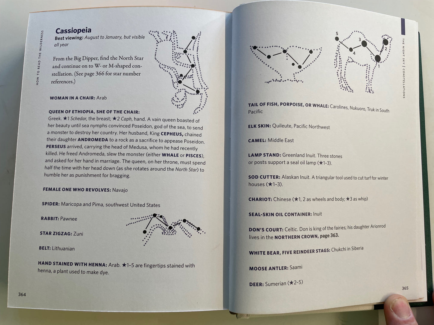 How to Read the Wilderness An Illustrated Guide to the Natural Wonders of North America